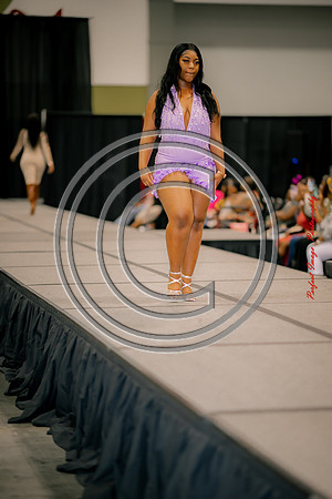 Black Beauty-10