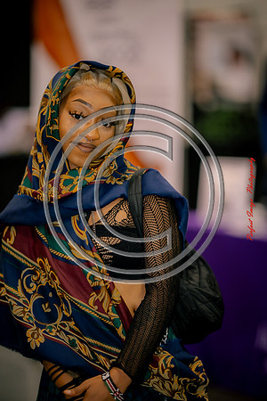 Black Beauty-3