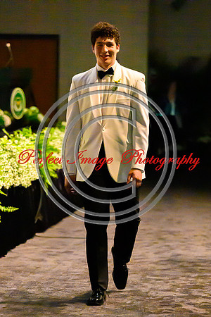 TemoDSC_2677-31