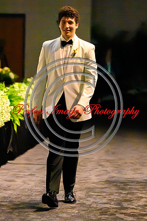 TemoDSC_2672-27